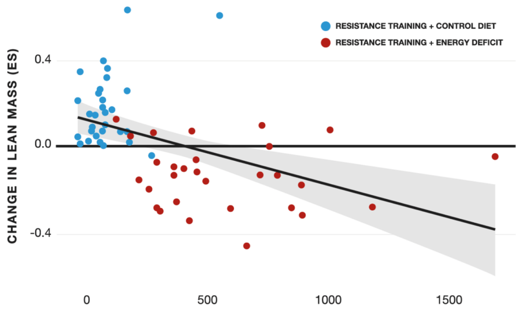 Relatie tussen calorie tekort en verandering in spiermassa